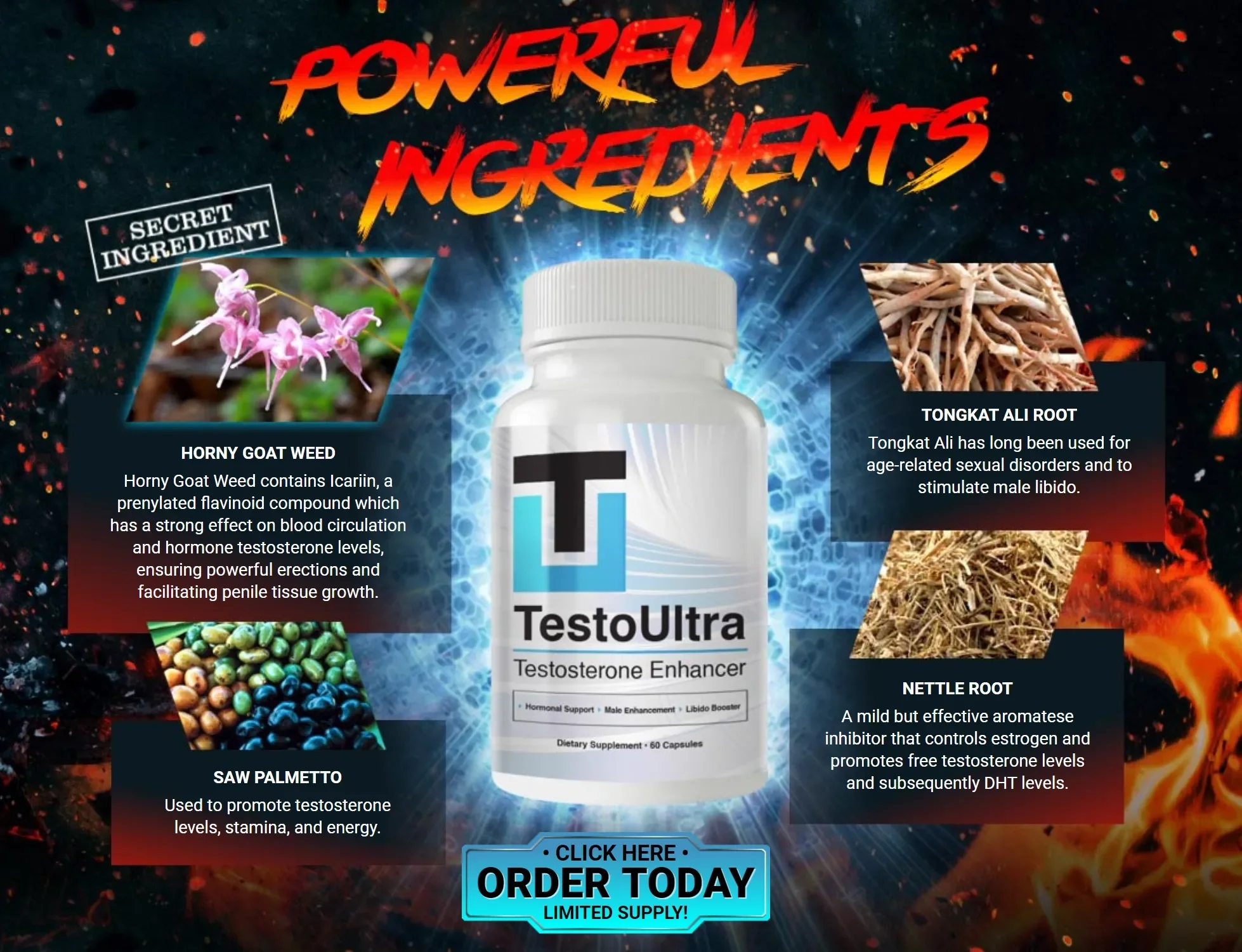 Testrx